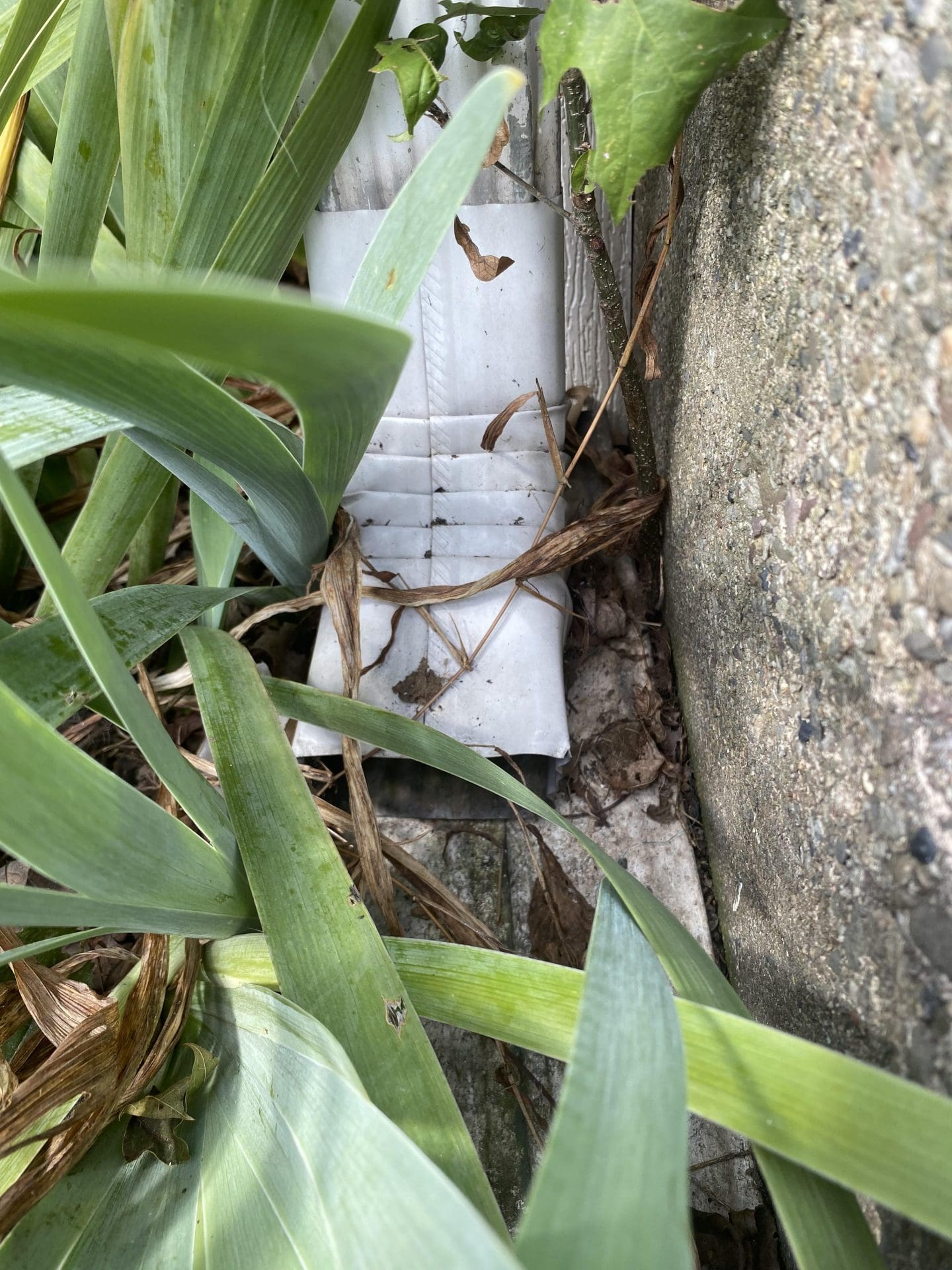 Clogged Downspouts 4 Signs You May Have Them