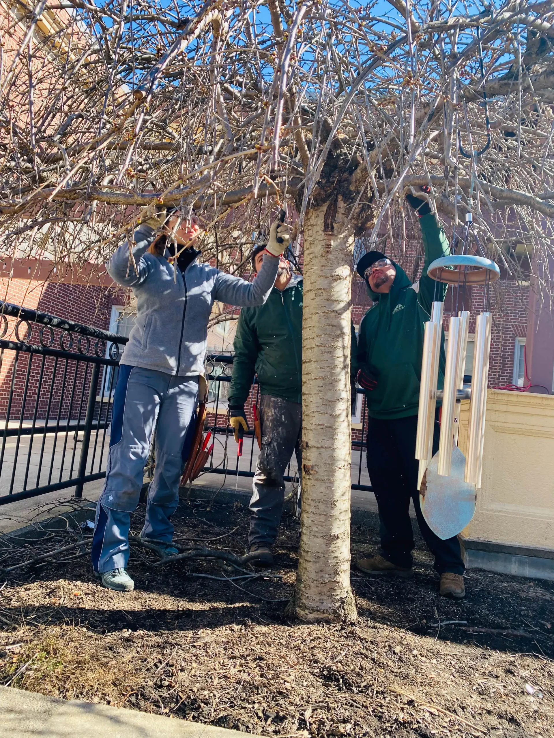 Expert Landscape Contractors Serving the Milton, MA Area