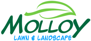 Lawn Care in Milton | There's No Lawn Like A Molloy Lawn!