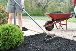 mulch