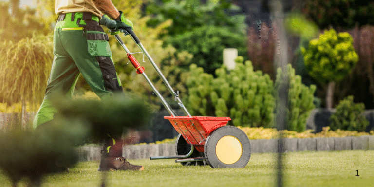 Late Summer Fertilization