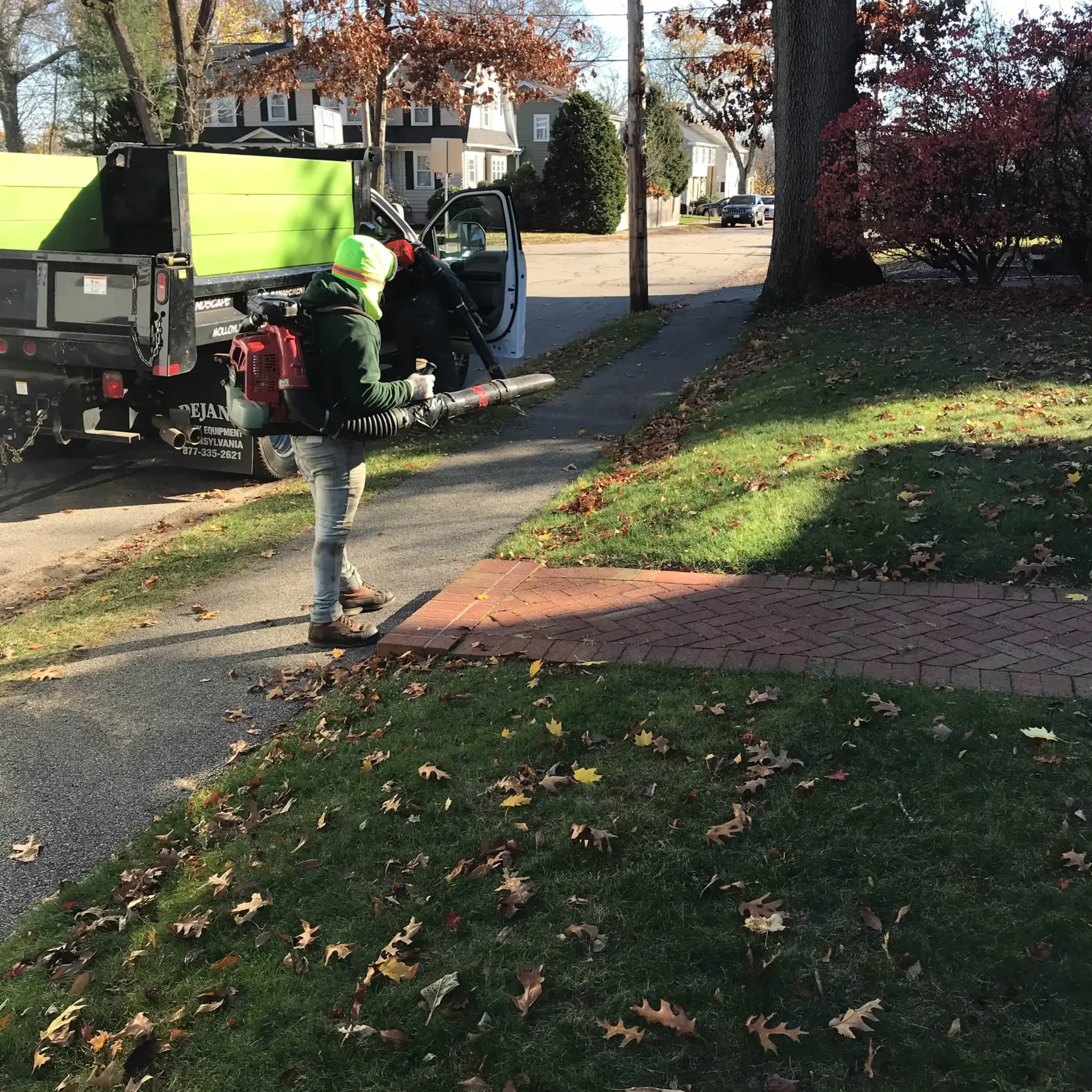 Molloy Landscape crew member using leaf blower for fall yard cleanup, removing leaves from lawn and sidewalk for a clean, well-kept property.