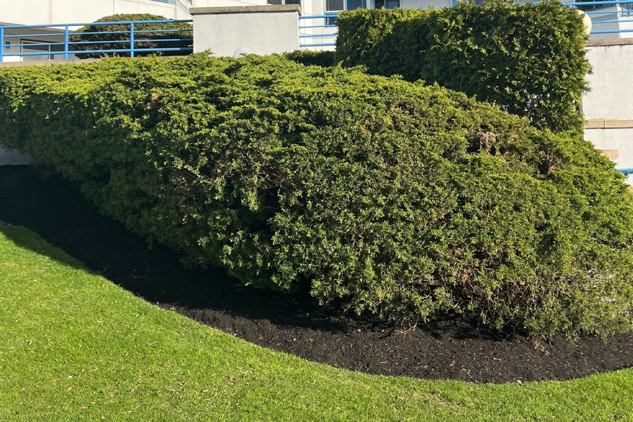 commercial-property-maintenance-milton-ma-03