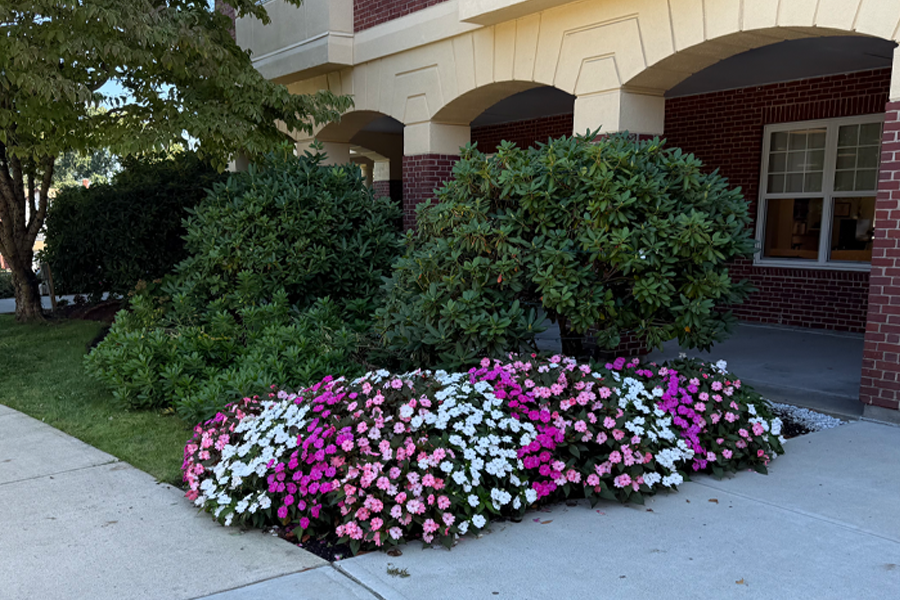 commercial-property-maintenance-milton-ma-16