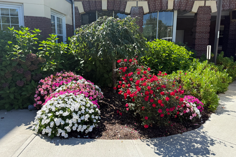 commercial-property-maintenance-milton-ma-17