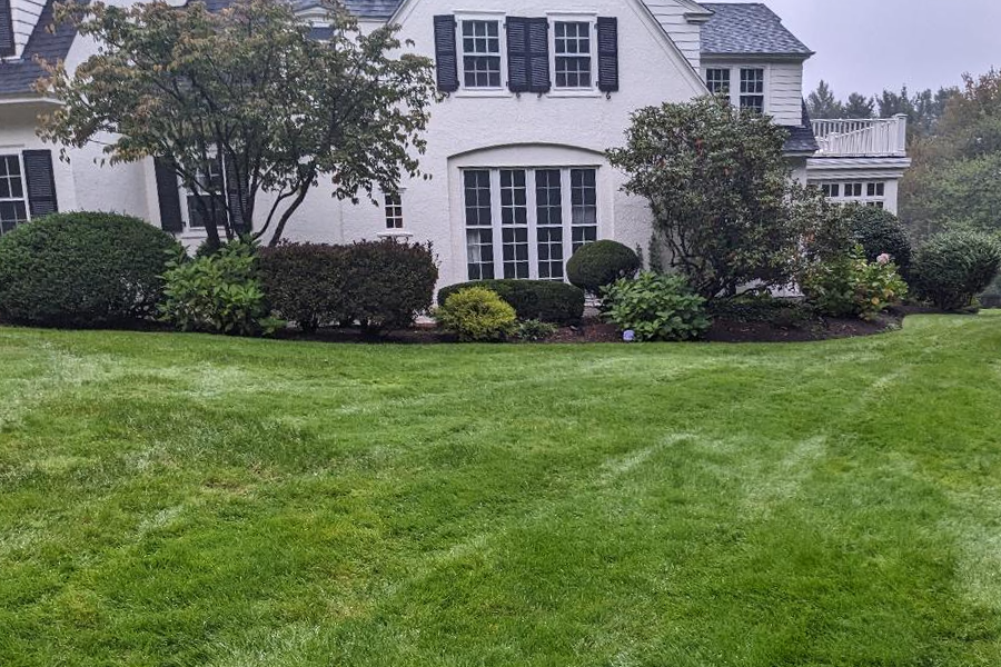 lawn-care-services-milton-ma-10