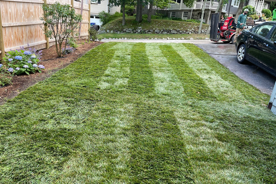 lawn-fertilization-milton-ma-04