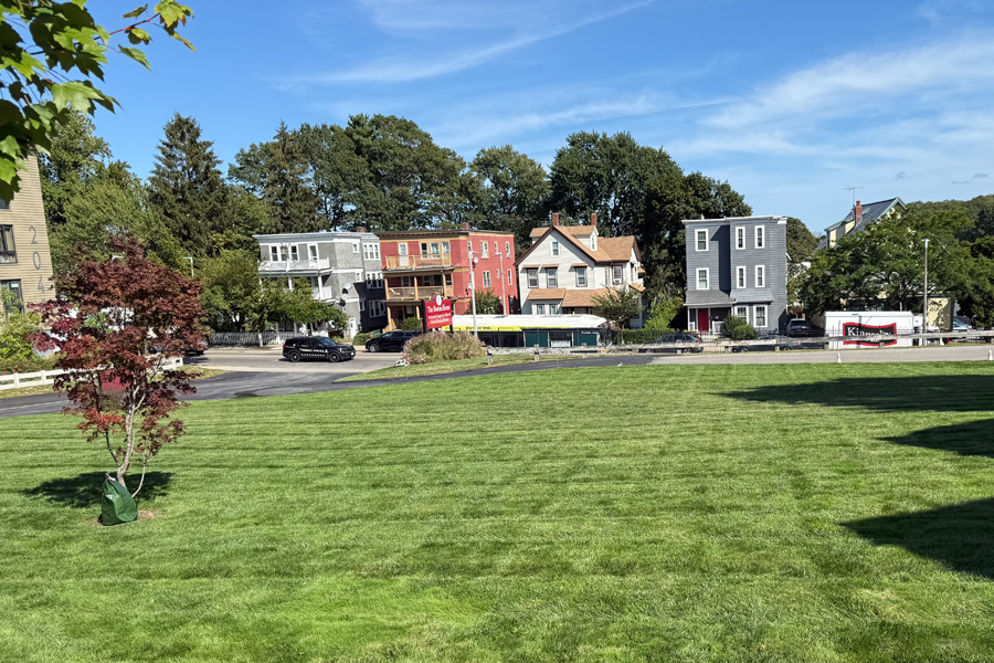 lawn-mowing-milton-ma-02