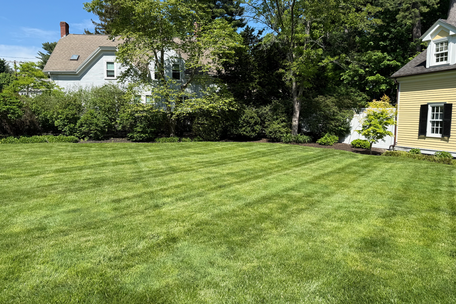 lawn-mowing-milton-ma-03