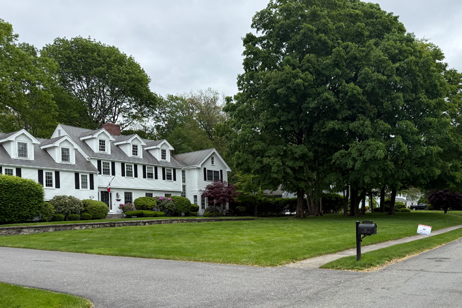 lawn-mowing-milton-ma-04