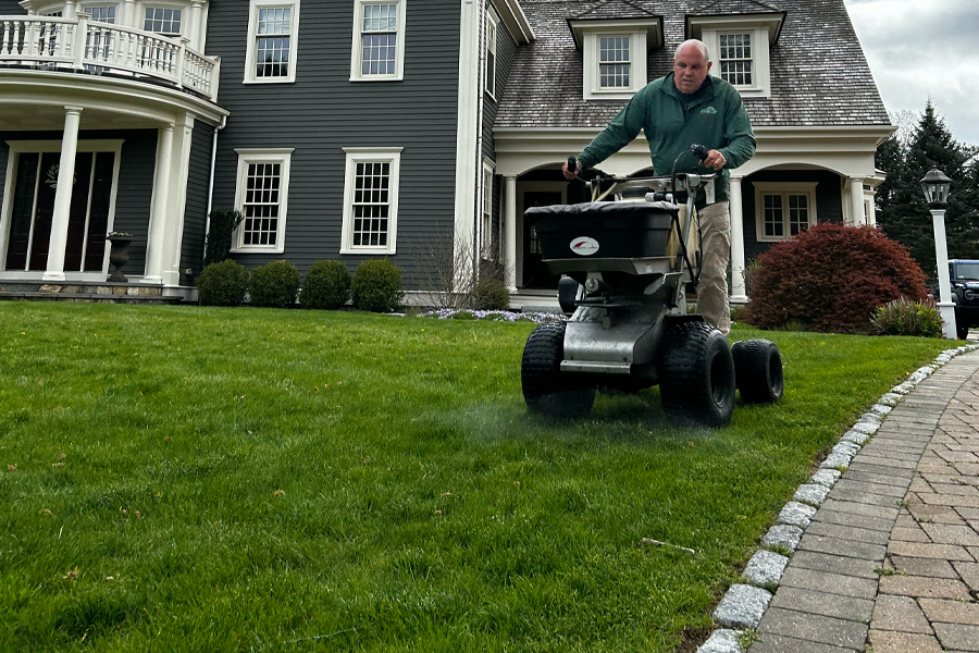 molloy-landscape-milton-ma-08