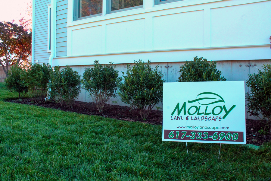molloy-landscape-milton-ma-10