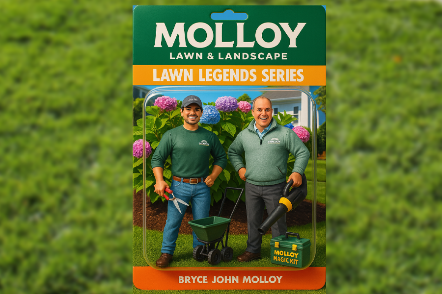 molloy-lawn-landscape-01