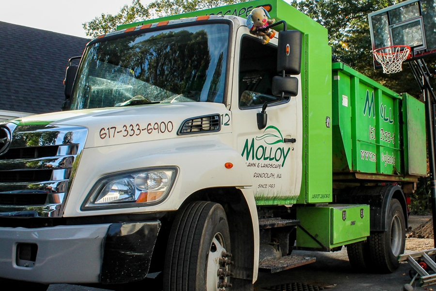 molloy-lawn-landscape-milton-ma-02