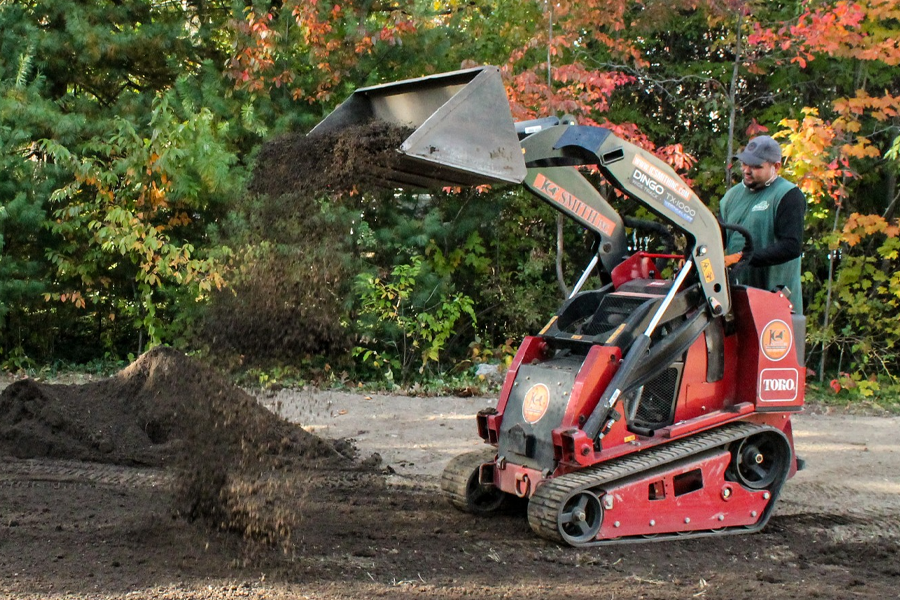 molloy-lawn-landscape-milton-ma-04