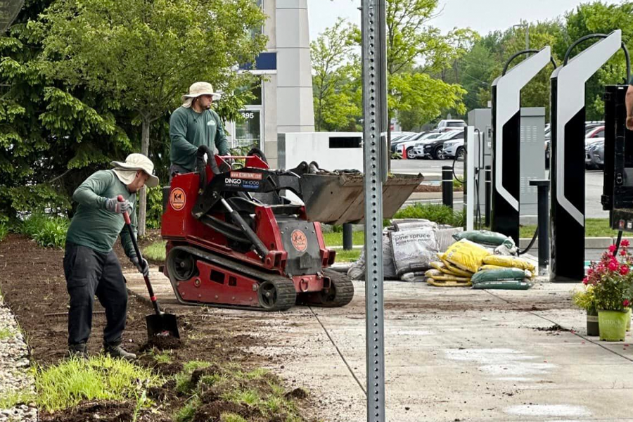 molloy-lawn-landscape-milton-ma-05