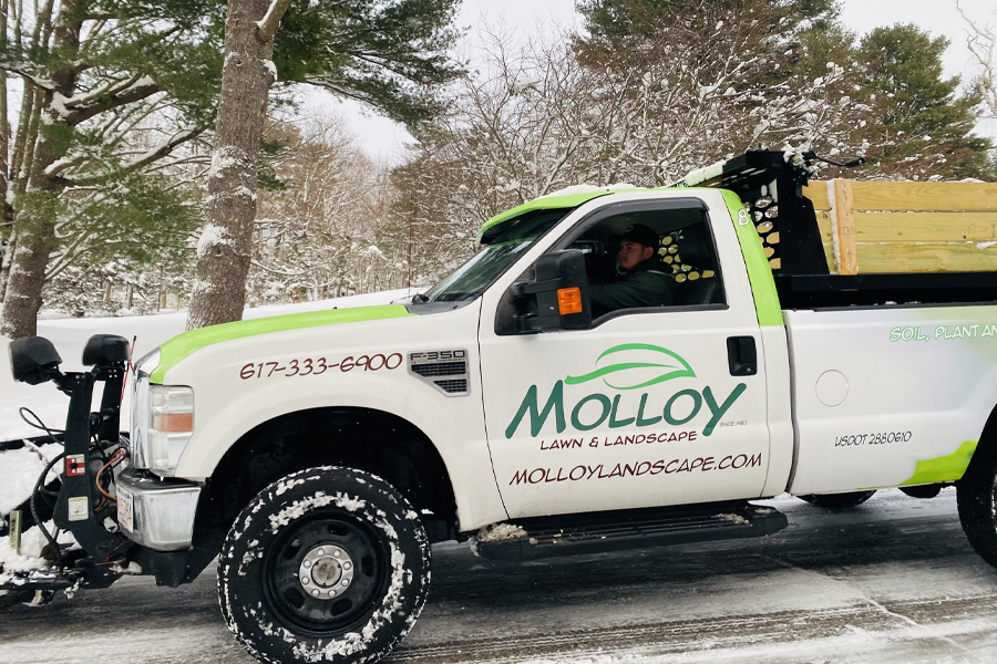 molloy-lawn-landscape-milton-ma-06