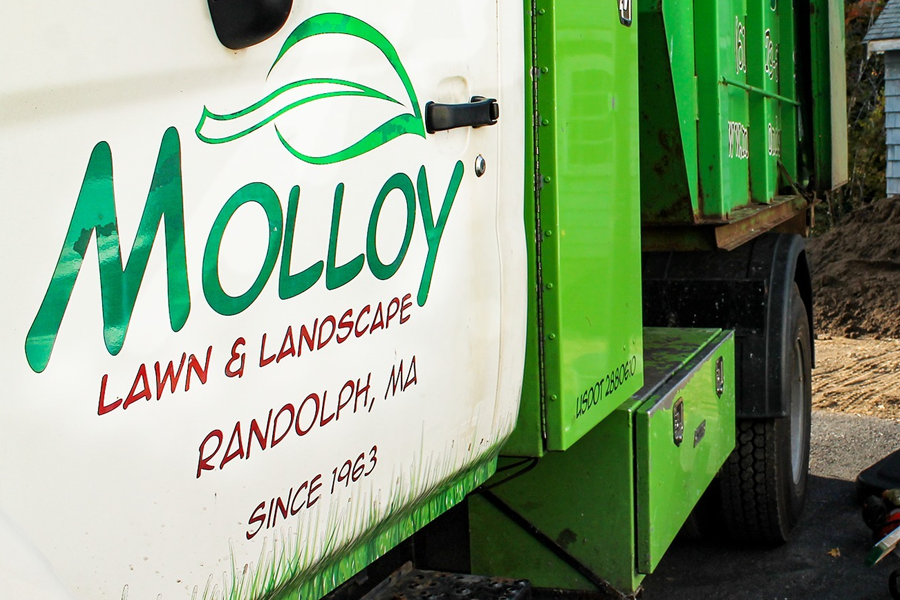 molloy-lawn-landscape-milton-ma-07