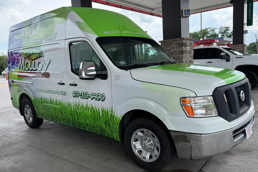 molloy-lawn-landscape-milton-ma-09