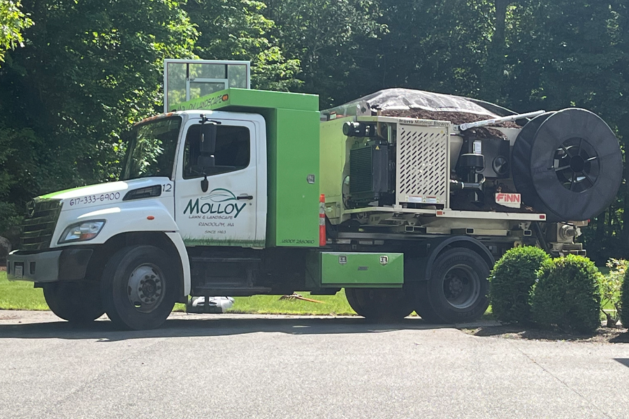 molloy-lawn-landscape-milton-ma-10