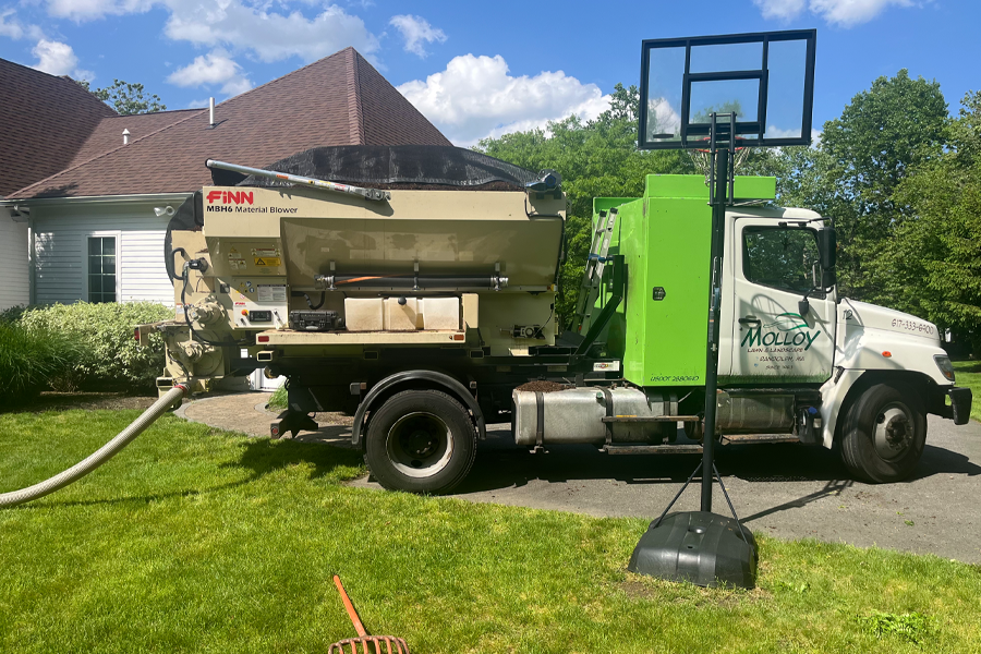 molloy-lawn-landscape-milton-ma-11