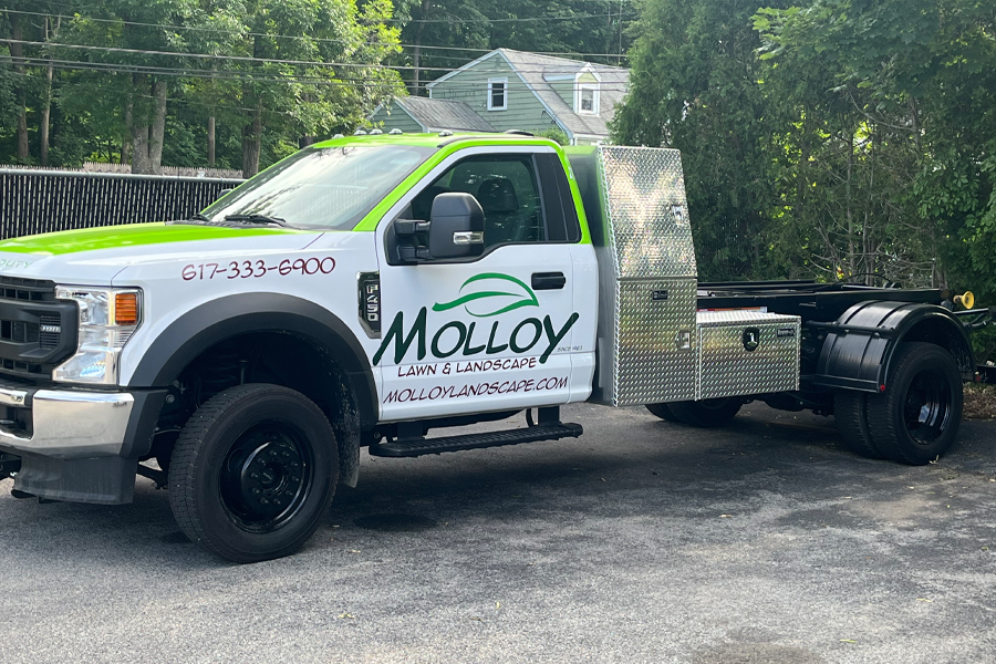 molloy-lawn-landscape-milton-ma-12