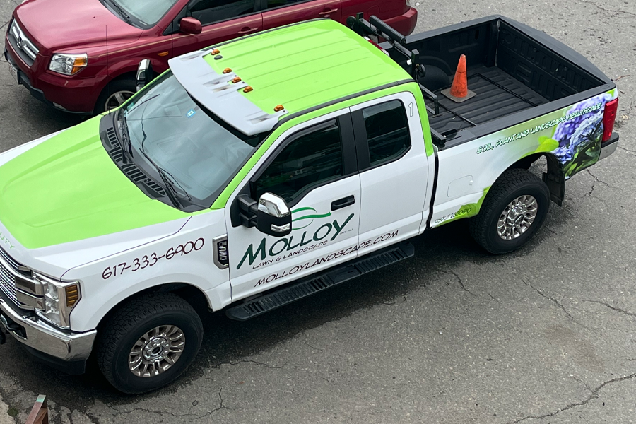 molloy-lawn-landscape-milton-ma-13