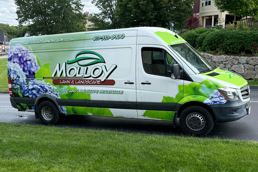 molloy-lawn-landscape-milton-ma-14