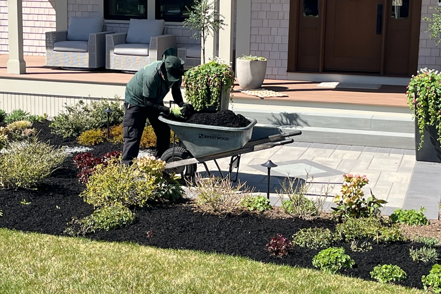 mulch-installation-milton-ma-05