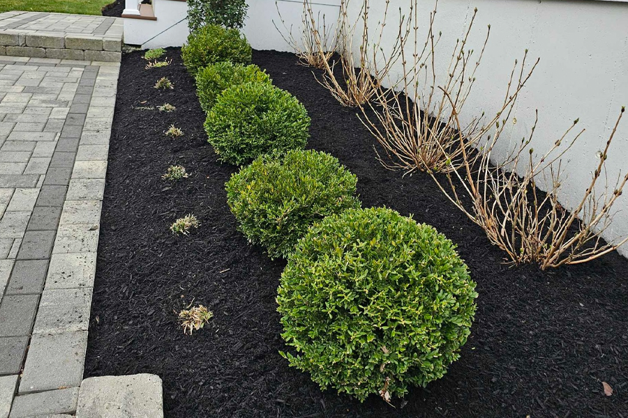 mulch-installation-milton-ma-09