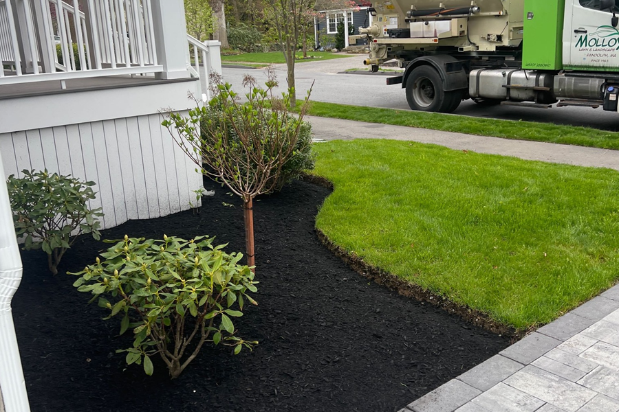 mulch-installation-milton-ma-10