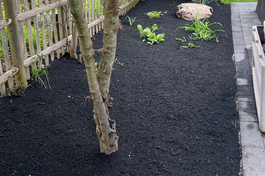 mulch-installation-milton-ma-13