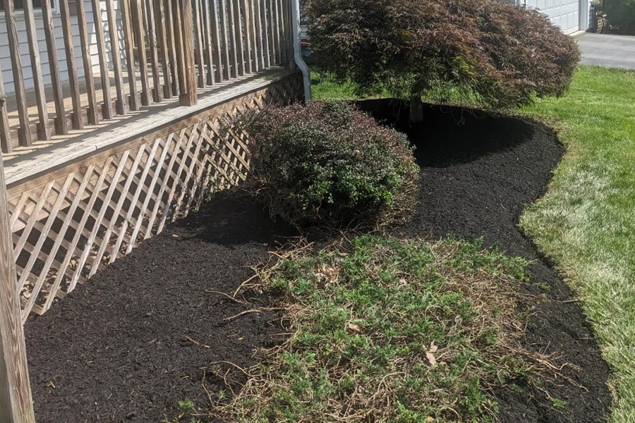 mulch-installation-milton-ma-14