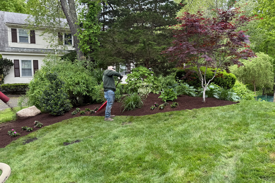 mulch-installation-milton-ma-15