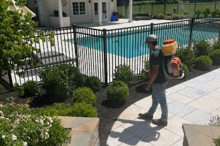 perimeter-pest-control-milton-ma-03