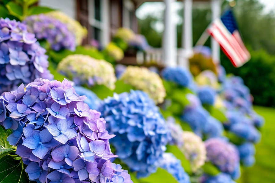 plant-care-milton-ma-01