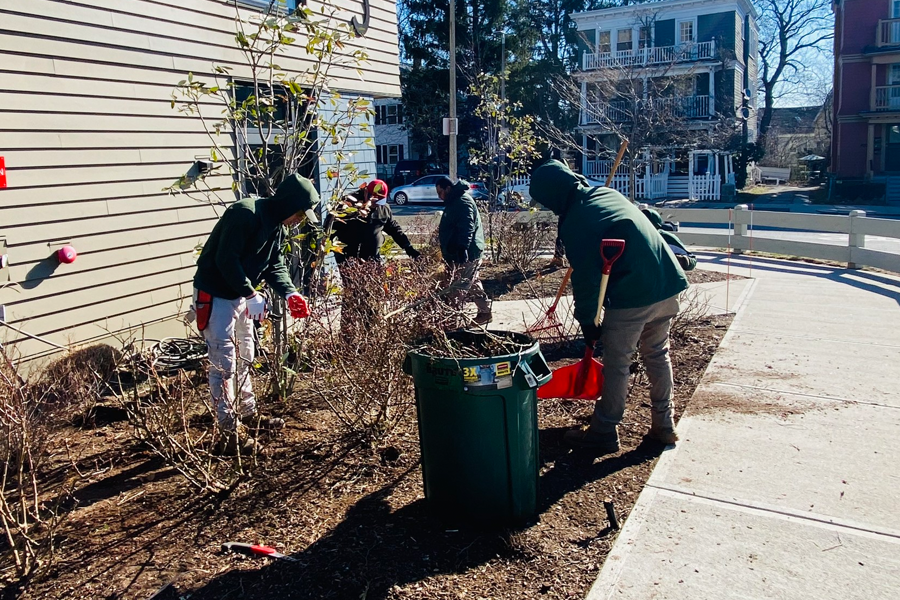 plant-care-milton-ma-06