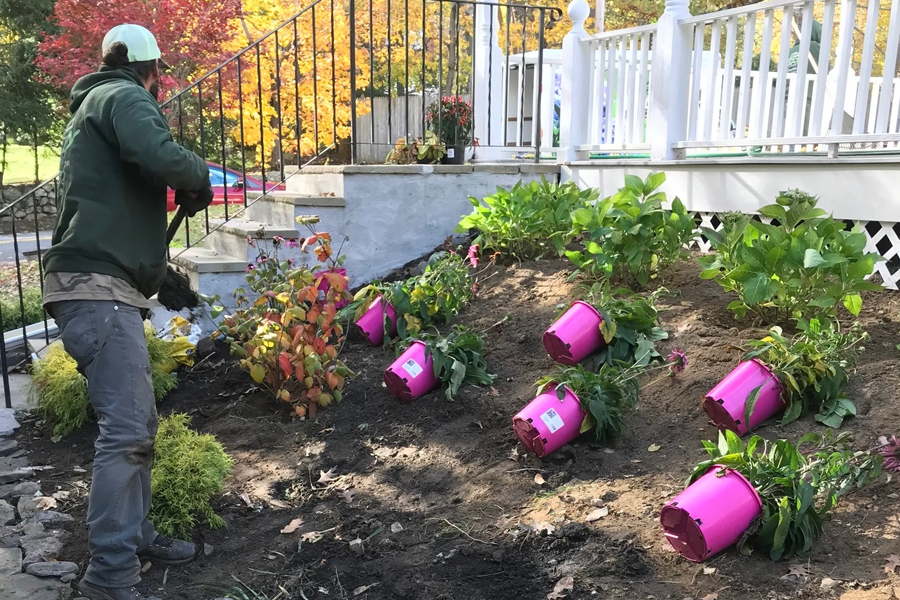 plant-care-milton-ma-13