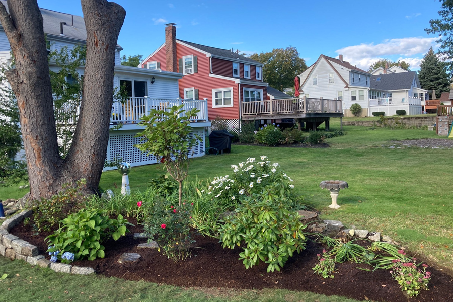 plant-care-milton-ma-14