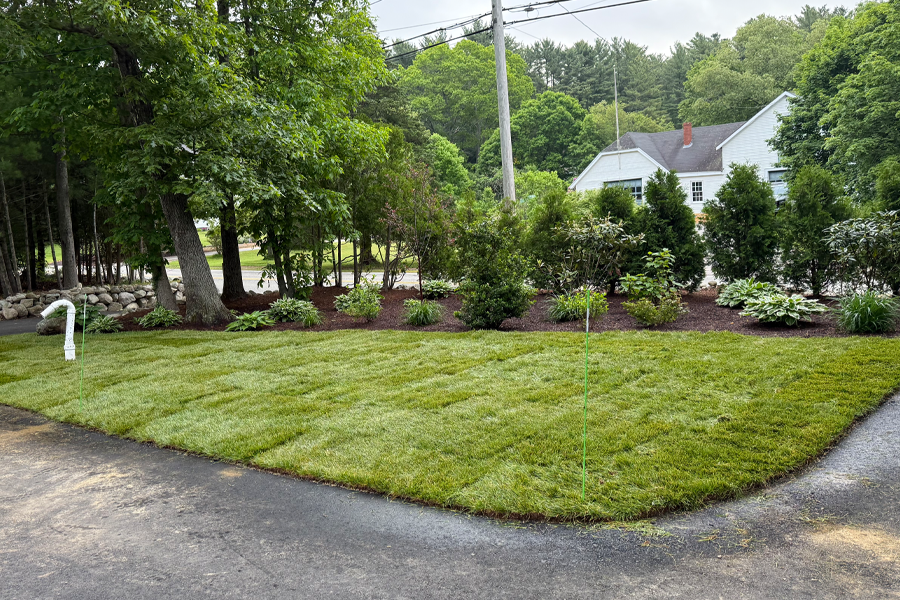 sod-installation-milton-ma-01
