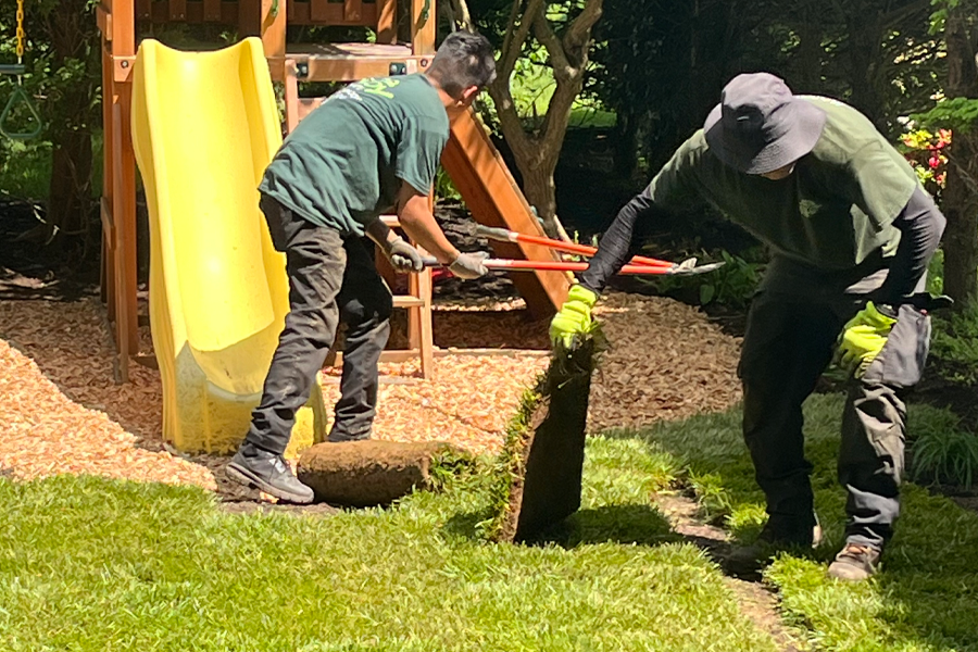 sod-installation-milton-ma-03