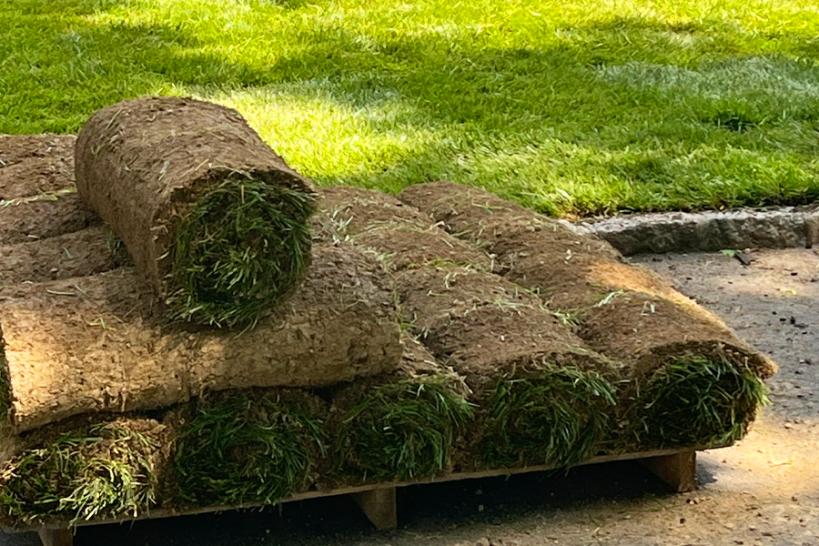 sod-installation-milton-ma-04