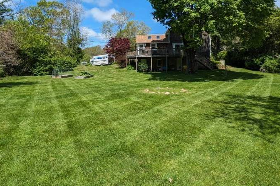 weed-control-milton-ma-01