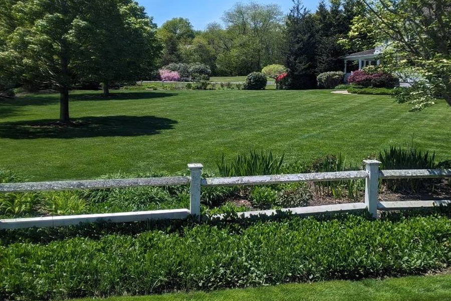 weed-control-milton-ma-03