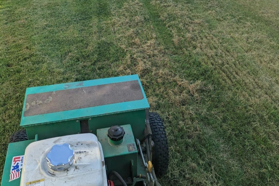 weed-control-milton-ma-04