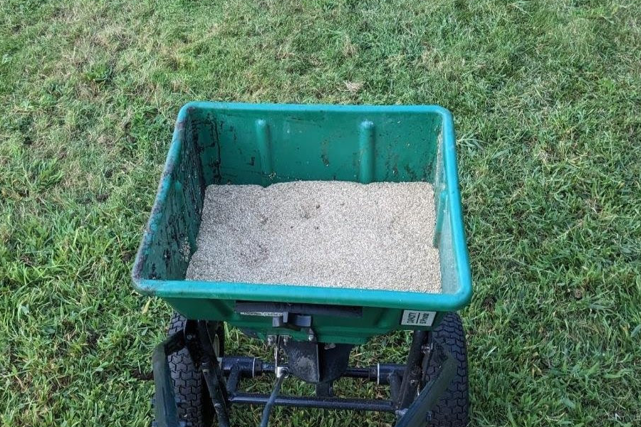 weed-control-milton-ma-13