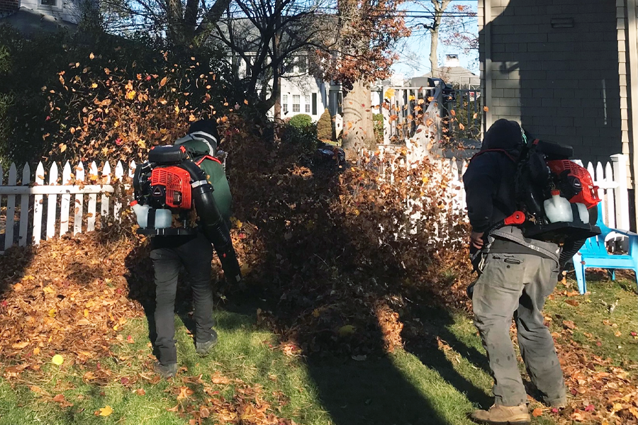 yard-cleanup-milton-ma-03