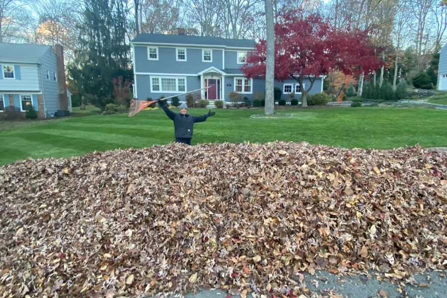 yard-cleanup-milton-ma-04