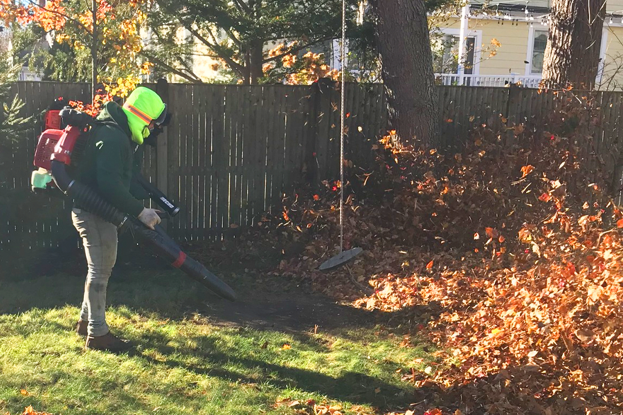yard-cleanup-milton-ma-08