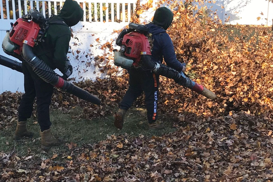 yard-cleanup-milton-ma-10